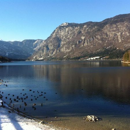 Apartament Bistrica 1 Bohinj Zewnętrze zdjęcie