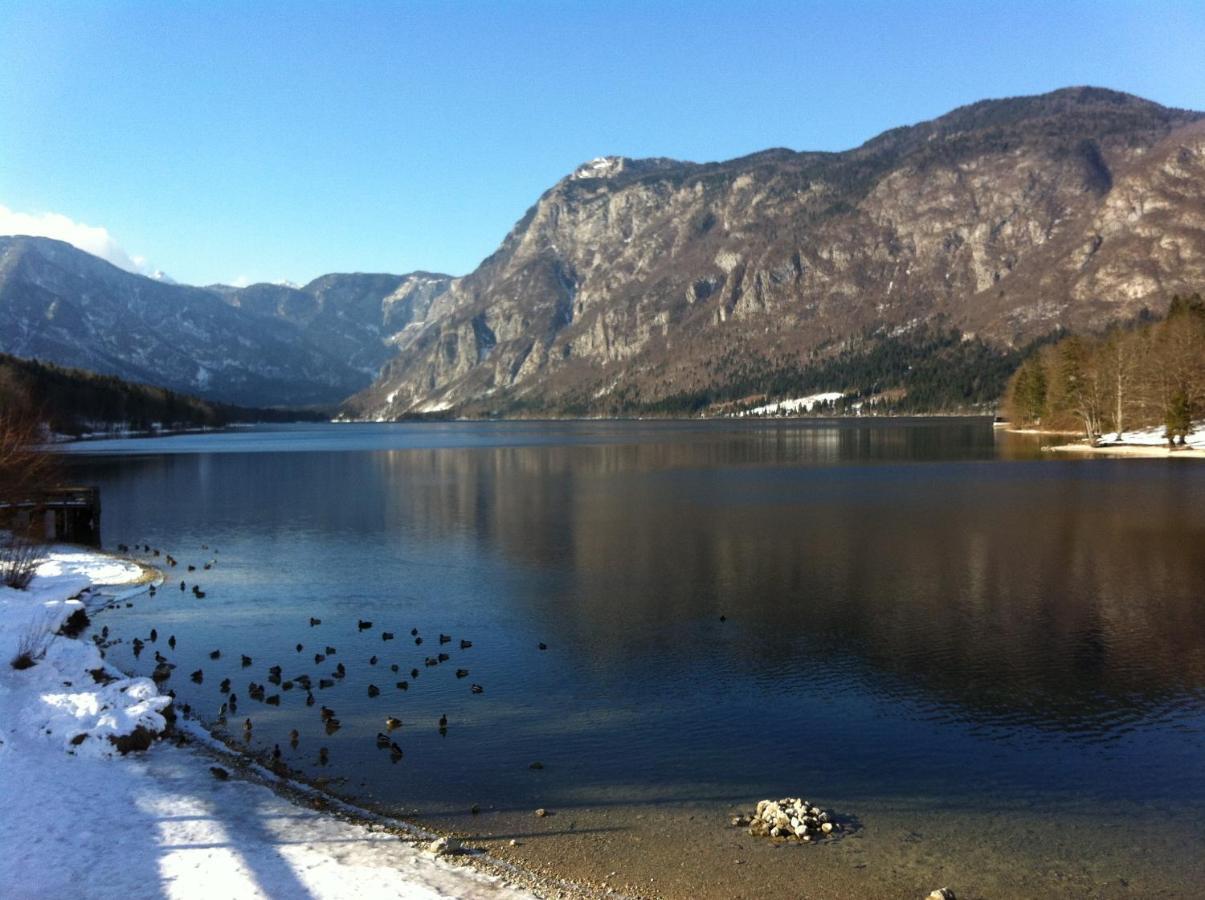 Apartament Bistrica 1 Bohinj Zewnętrze zdjęcie