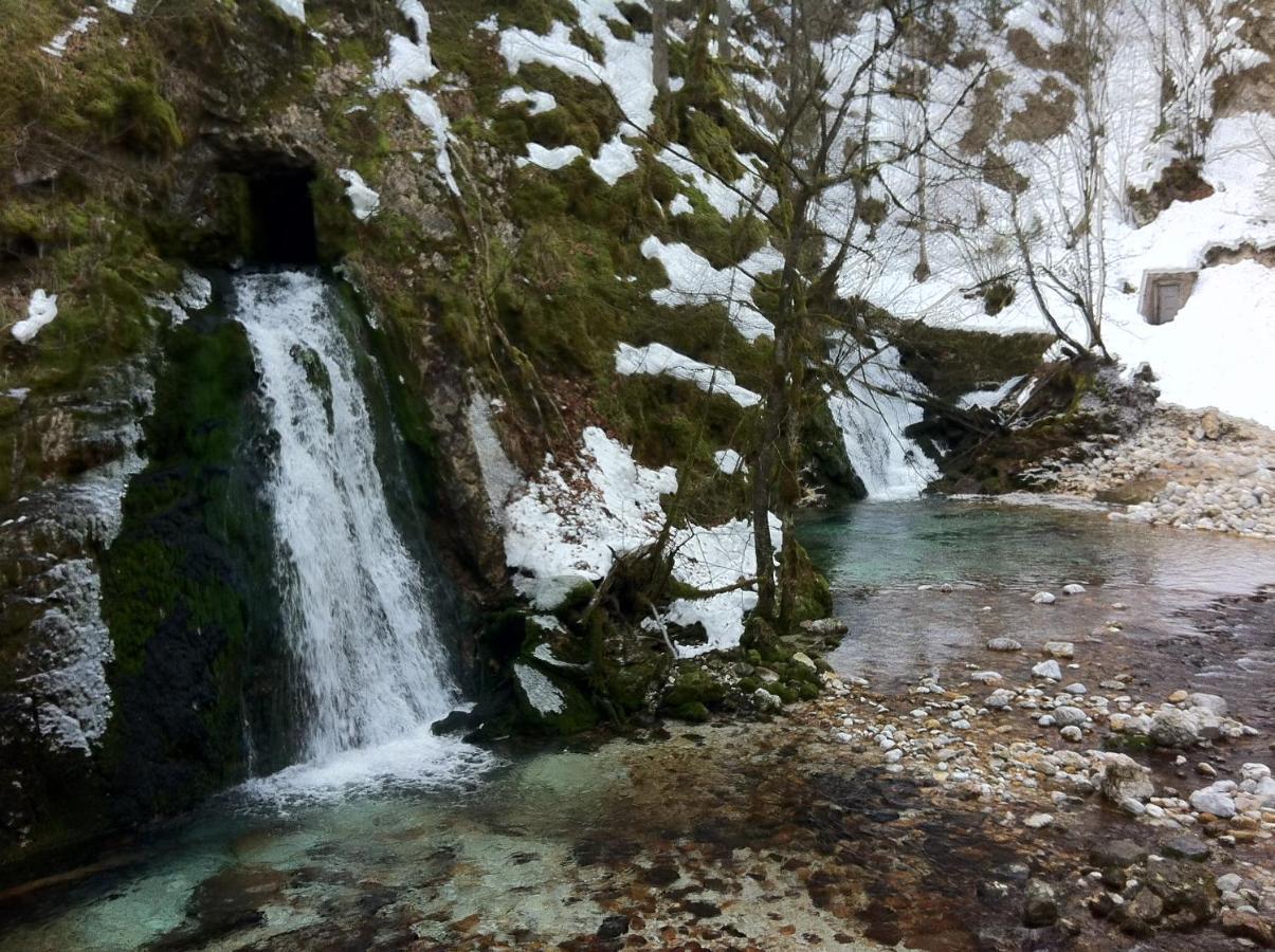 Apartament Bistrica 1 Bohinj Zewnętrze zdjęcie